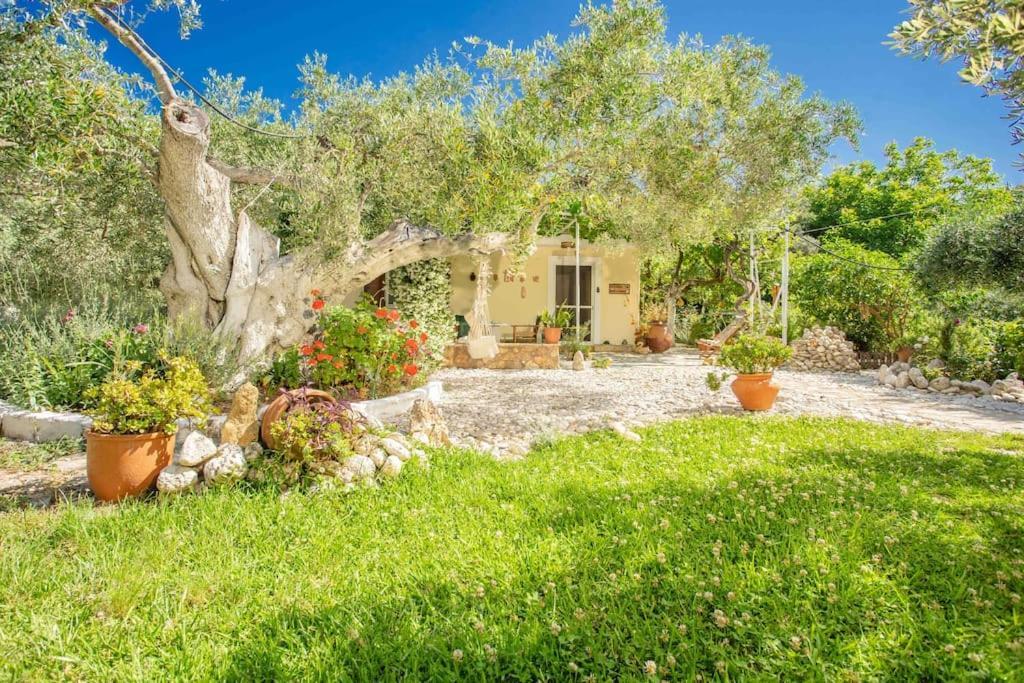 Anthia Private Studio A Breath Away From Beaches Áyios Nikítas Exteriér fotografie